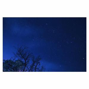 97免费乱伦熟女
